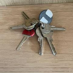 sleutelbos, segundo informou a iLost