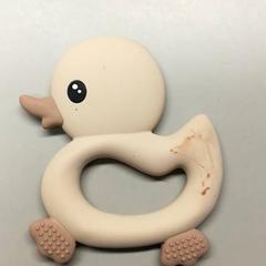 Zubný krúžok Eend, ako bolo nahlásené Burgers' Zoo pomocou iLost