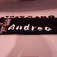 Towel, as reported by Van der Valk Hotel Schiphol using iLost