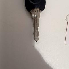 Klíč, jak nahlášeno allGo Almere pomocí iLost