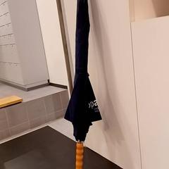 Paraply Donkerblauw, som rapportert av Padualaan 97 ved bruk av iLost
