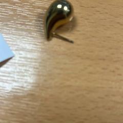 Earring, as reported by Sheraton Brussels Airport Hotel using iLost