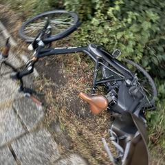 Elektrische damesfiets met kinderzitje, jak bylo nahlášeno na iLost