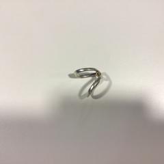 Orthopedische ring Zilver, segundo informou Gemeente Veenendaal usando iLost