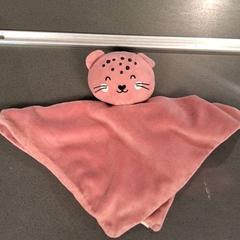Kuddiga slag Roze, rapporterat av Breng Nijmegen med iLost