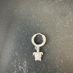 Silver Earring an iLost gemeldet