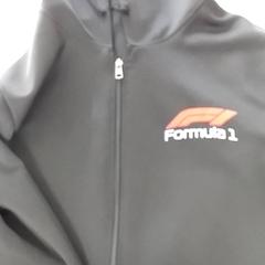 Hoodie Maat M, zoals gemeld door De Vierdaagse met iLost