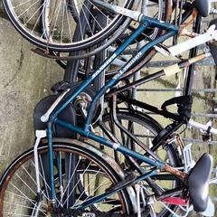 Dámské kolo Batavus, jak nahlášeno Stadswerk072 pomocí iLost