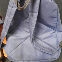Tas bleu, zoals gemeld door TCL met iLost
