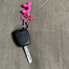 Autosleutel, som rapporterats till iLost