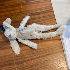 Knuffel Wit, zoals gemeld door Gemeente Loon op Zand met iLost