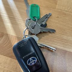 Sleutelbos, segons s'ha informat a iLost