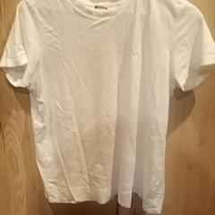 Ing shirt, amint azt Van der Valk Hotel Apeldoorn - De Cantharel az iLost segítségével jelentette.