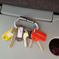 Sleutelbos, jak zgłoszono do iLost