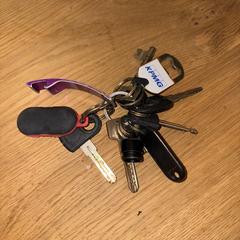 Sleutelbos, jak bylo nahlášeno na iLost