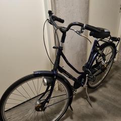 fiets, jak zgłoszono do iLost