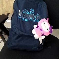 Mochila, segundo informou ilévia usando iLost