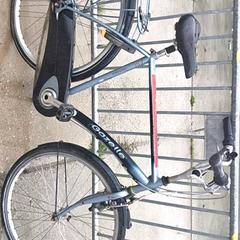 Dámské kolo gazelle, jak nahlášeno Stadswerk072 pomocí iLost