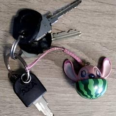 Clé, a été signalé par Arriva Infoshop Enschede utilisant iLost