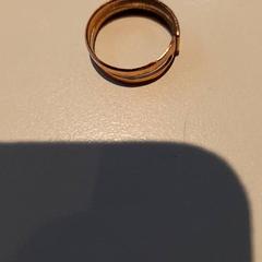 Prsten, jak nahlášeno Campus Den Haag pomocí iLost