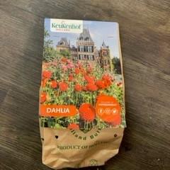 Flower seeds, segons ha informat Inntel Hotels Amsterdam Centre mitjançant iLost