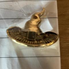 Broche, zoals gemeld door Attractie- & Vakantiepark Slagharen met iLost