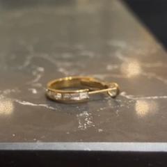 귀걸이, iLost를 사용하여 Van der Valk Hotel Veenendaal에 보고됨