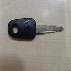 Bicycle key, as reported by Bolognalaan 101 using iLost