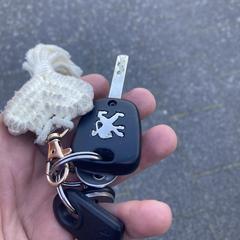 Autosleutel Peugeot en andere sleutels aan bos, som rapporterats till iLost
