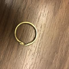Gouden Ring, as reported to iLost