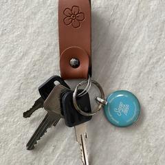 Sleutelbos, jak bylo nahlášeno na iLost