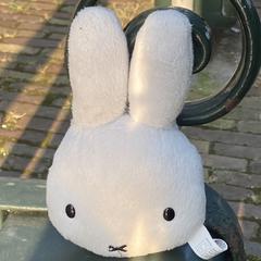 Nijntje knuffel، كما تم الإبلاغ عنه عبر iLost