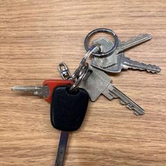 Portachiavi, come riportato da Gemeente Oirschot utilizzando iLost