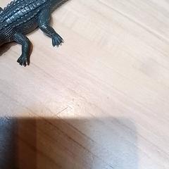 Játék Krokodil, amint azt Beekse Bergen Resorts en Hotel az iLost segítségével jelentette.