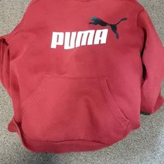 후드티 Puma trui, iLost를 사용하여 Burgers' Zoo에 보고됨