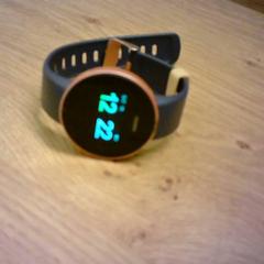 Orologio intelligente zwart, come riportato da Bobbejaanland utilizzando iLost