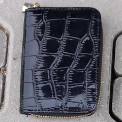 Carteiras van Ham, como reportado por Arriva West-Brabant utilizando o iLost