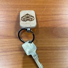 Schlüssel, gemeldet von Arriva Achterhoek-Rivierenland über iLost