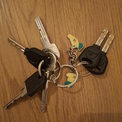 Sleutelbos، كما تم الإبلاغ عنه عبر iLost