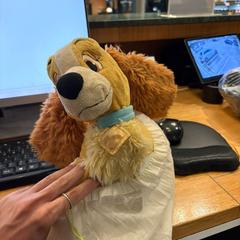 Hundleksak, rapporterat av Amsterdam ID Aparthotel med iLost