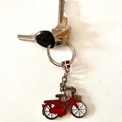 Sleutelbos sleutels, iLost'a bildirildiği gibi