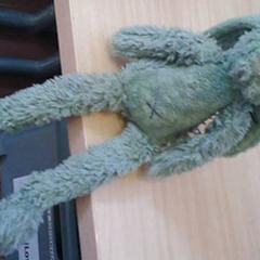 Xoguete de peluche Zandgroen Konijn, segundo informou Het Spoorwegmuseum usando iLost