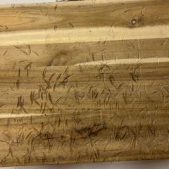 Borsa Hout, come riportato da GVB utilizzando iLost