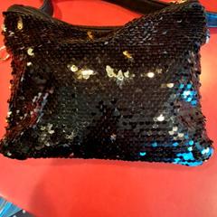 Bag, as reported by Fjord Line – MS Stavangerfjord / Bergensfjord using iLost
