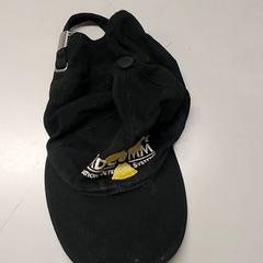 Kleding Pet, amint azt Centraal magazijn az iLost segítségével jelentette.