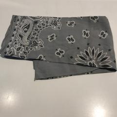 Handkerchief, as reported by Van Gogh Museum using iLost