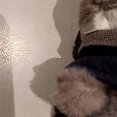 꼭 껴안고 싶은 장난감, iLost를 사용하여 De Efteling에 보고됨