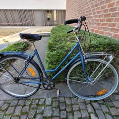 Damesfiets Ludo, come riportato da Gemeente Zonhoven utilizzando iLost