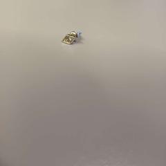 Pendente, segundo informou Heidelberglaan 7 usando iLost