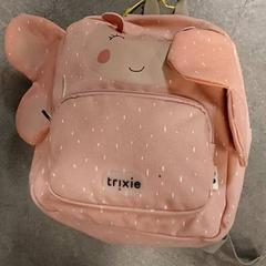 Motxilla Roze, segons ha informat Centraal magazijn mitjançant iLost